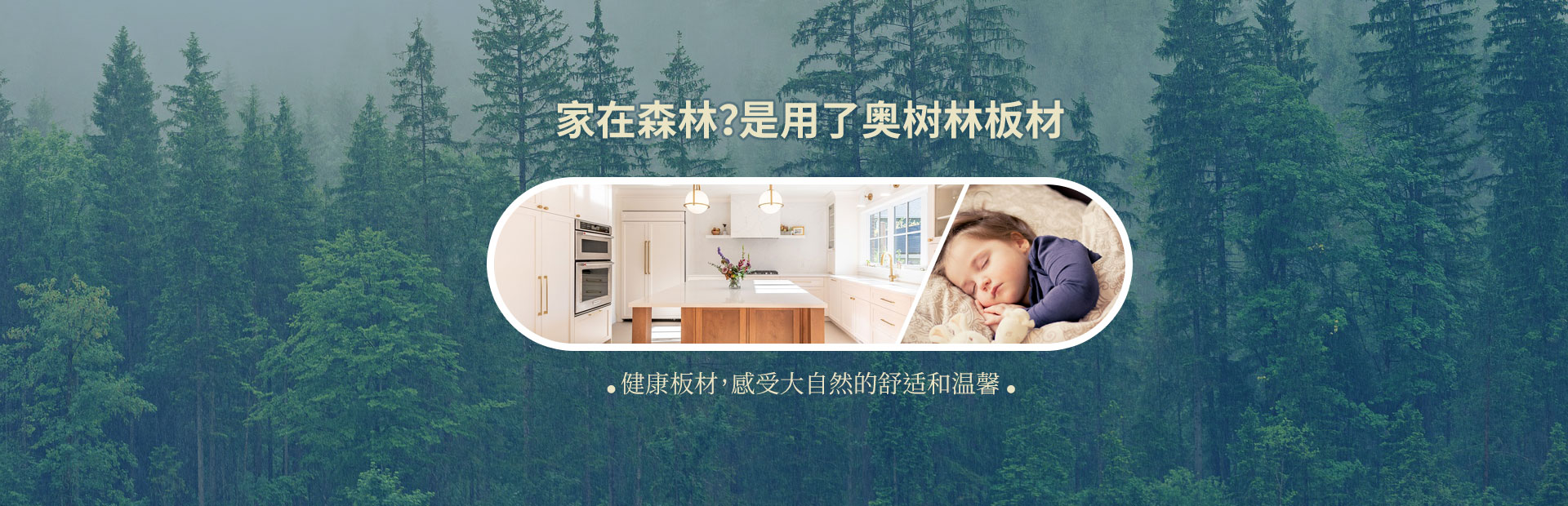 家在森林？是用了奥树林板材